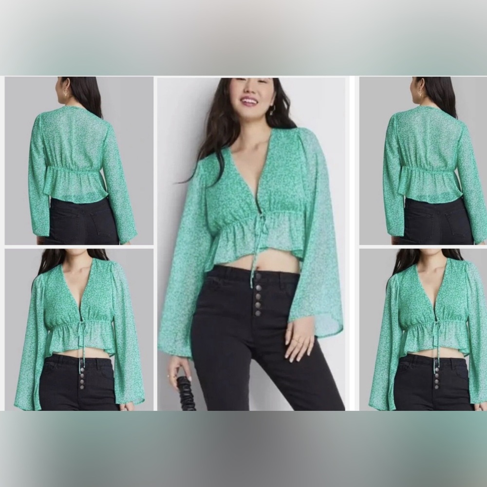 Wild Fable Tie Front, Bell Sleeve Sheer Blouse